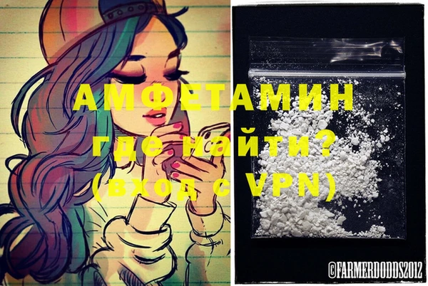 дмт Алзамай