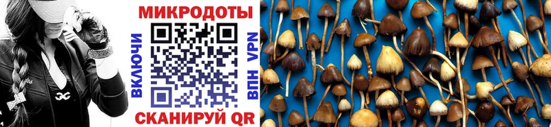 Псилоцибиновые грибы мухоморы  Новая Ляля 